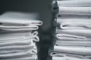 Dry Cleaning Plant Services